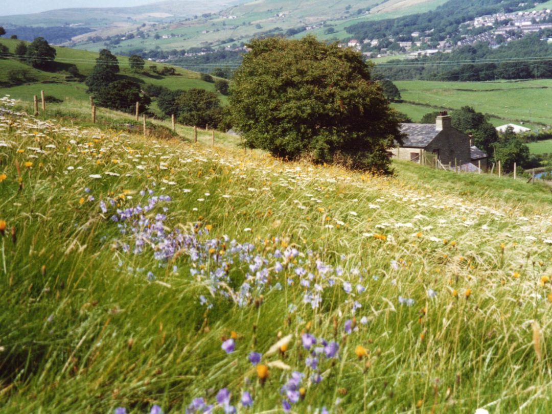 Tippett Farm SelfCatering Farmhouse in Rossendale, Lancashire